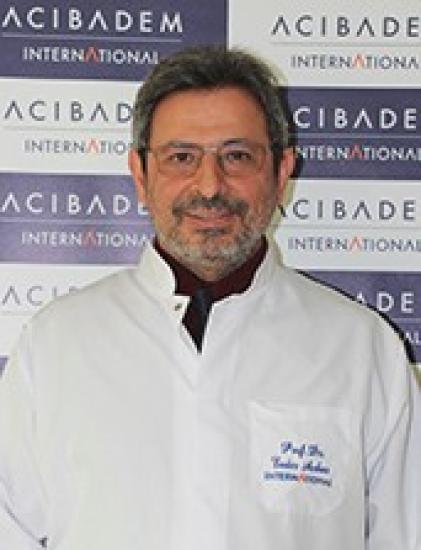 Prof. Dr. Ender Arıkan