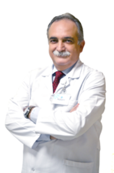 Prof. Dr. Murat İmer