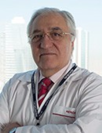 Prof. Dr. Ali Oto