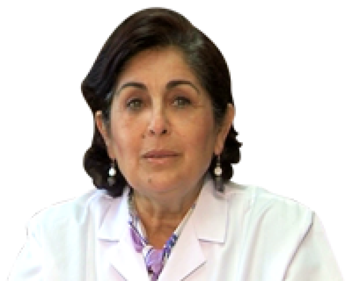 Prof. Dr. Nergis Erdoğan